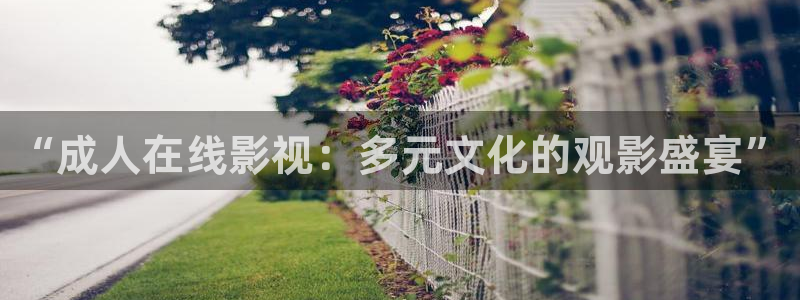 久久九九久久精品视频