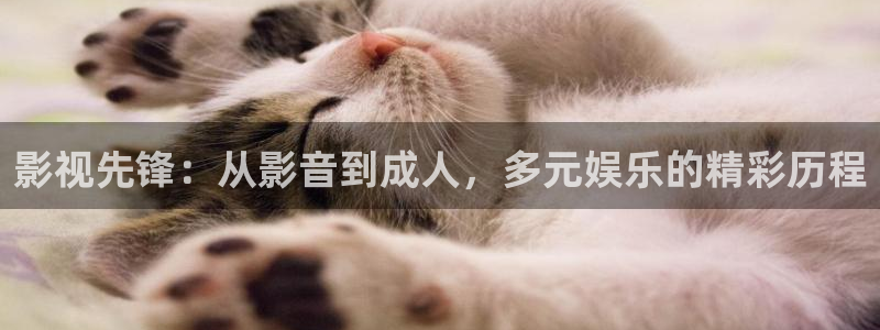 九九影院在线观看免费播放电视剧