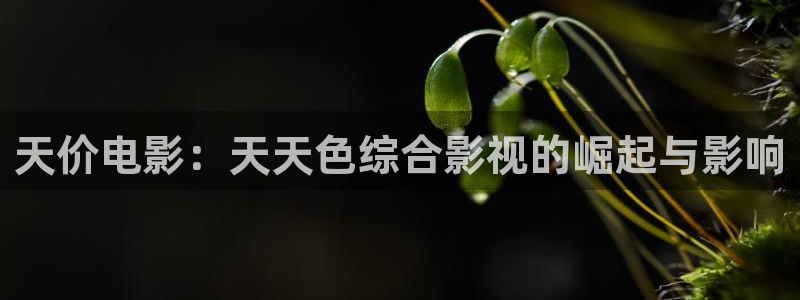 九九电影天堂