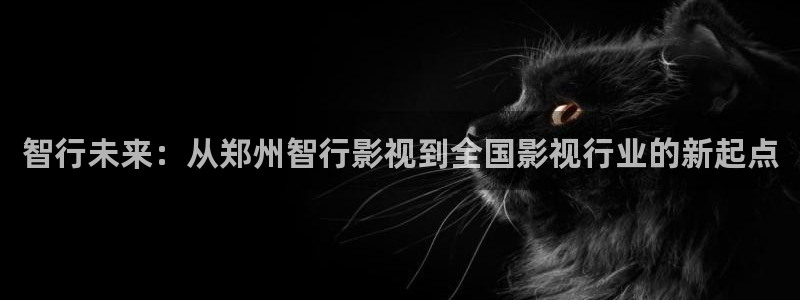 九九视频在线观看免费观看