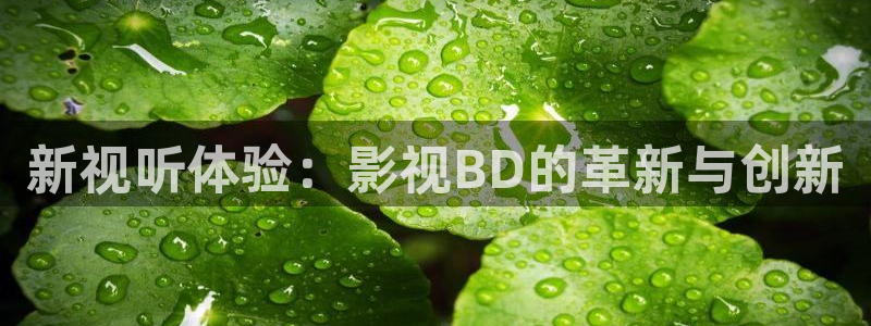 九九在线免费播放