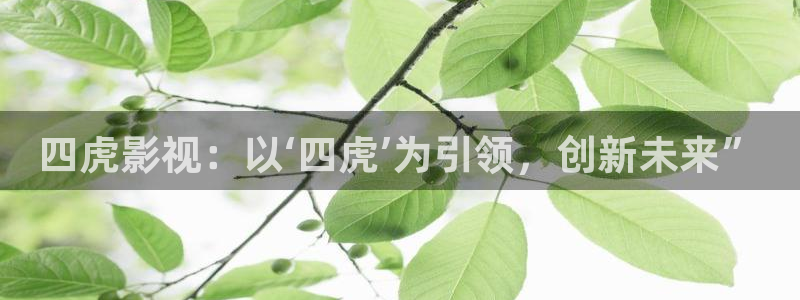 九九操视频