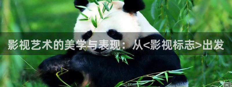 九九热久久精品视频