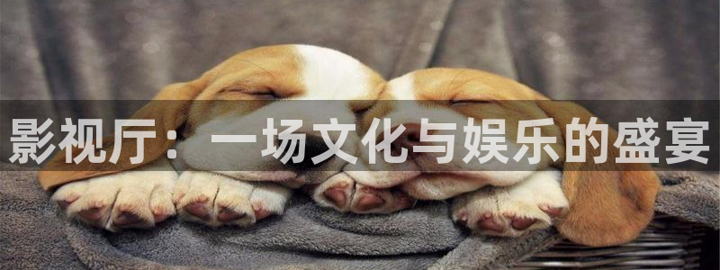 99九九电视剧免费观看