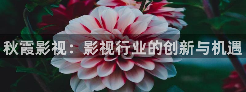 九九视频在线精品观看