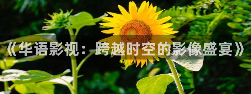 九九热视频社区