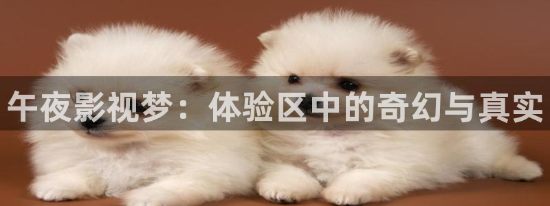 九九影院精品