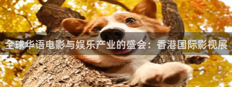 九九勉费视频